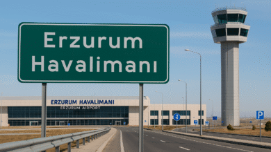 temsili